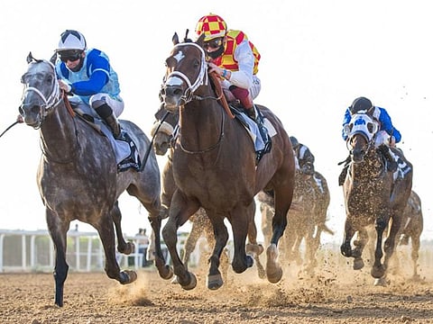 Nathan Crosse on Galvanize (right) wins the  HH Sheikh Hamdan Bin Rashid Al Maktoum Cup Presented by Longines handicap at Sharjah Longines Racecourse on Saturday.
