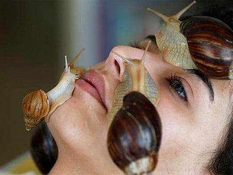 2020 in review: From creepy flowers to snail facials, these are weird and wonderful photos