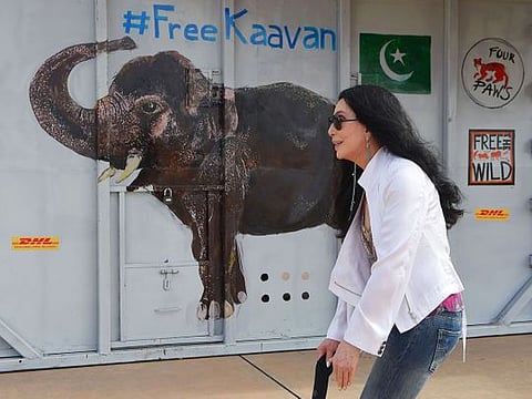 Photos: 'World's loneliest elephant' Kaavan lands in Cambodia, greeted by Cher