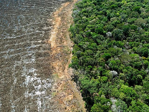 In this file photo taken on August 07, 2020, aerial view of a deforested area close to Sinop, Mato Grosso State, Brazil.