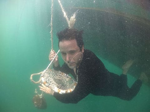 Pearl Diving