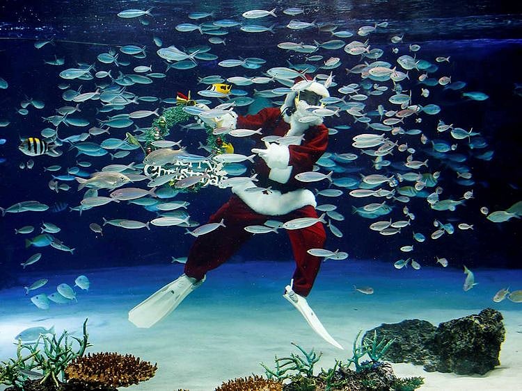 Santa Claus Japan fish tank aquarium