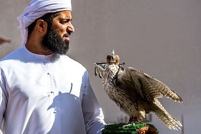 sharjah falcon-1607065344968