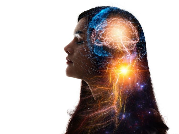Pacman like game reveals origin of emotions in brain