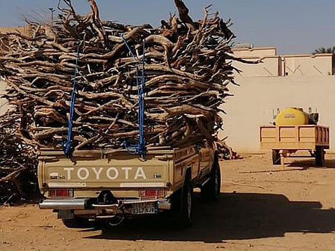 Around 150 tonnes of illegally cut firewood have been seized in several parts of Saudi Arabia.