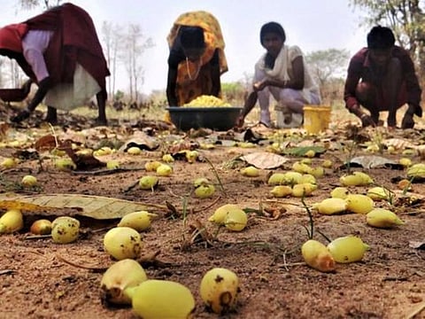 An illustrative image of tribal women in India. The 'nata pratha' is prevalent in some tribal belts of the country. According to the custom, man has to pay money to have a modern day live-in relationship with a woman of his choice, after woman’s first husband breaks the marriage and passes on his wife to other man in return for money. 