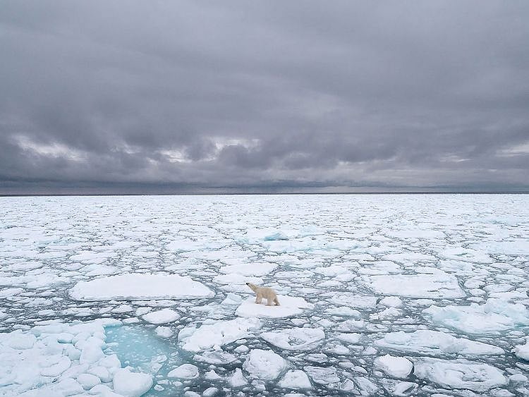 Svalbard, Norway, in 2018. 