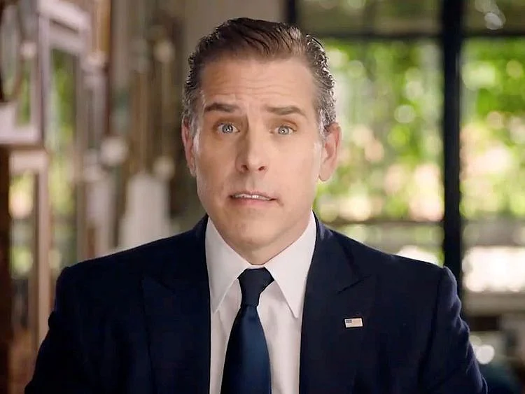 Democratic presidential nominee and former Vice President Joe Biden's son Hunter Biden speaks by video feed during the 4th and final night of the 2020 Democratic National Convention, as participants from across the country are hosted over video links from the originally planned site of the convention in Milwaukee, Wisconsin, U.S. August 20, 2020. 