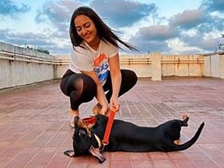 Bollywood: From Priyanka Chopra to Disha Patani, here's a look at some stars and their pets