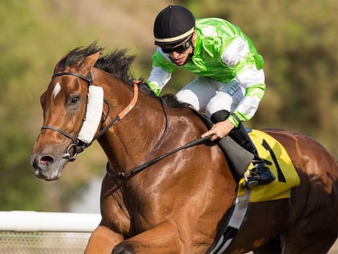 Clement Lecoeuvre and Blue Sovereign win the Shadwell Condition Stakes, the feature race of the afternoon at Jebel Ali Racecourse on Friday.  