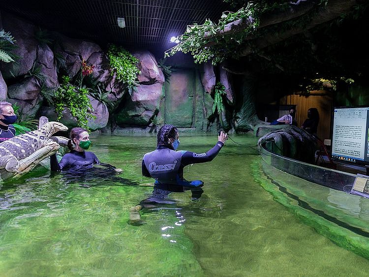 TNA PROFESSOR AT THE FLOODED FOREST-1607848900360