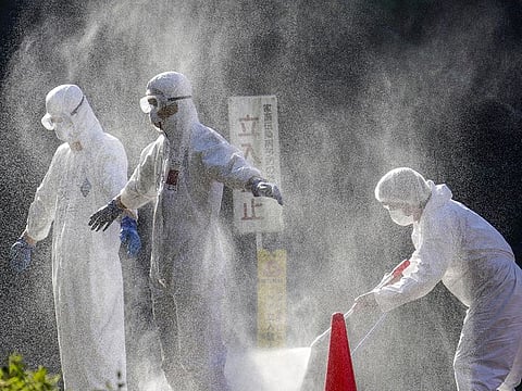 Officials in protective suits work at a chicken farm where an outbreak of a highly pathogenic bird flu was confirmed in Mitoyo, western Japan, in this photo taken by Kyodo November 5, 2020. Picture taken November 5, 2020.