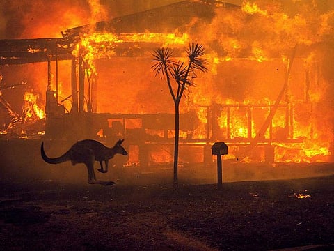 A kangaroo rushes past a burning house in Lake Conjola, Australia. The fire season in 2020 was one of the worst in Australia's history, with lives lost, hundreds of homes destroyed and millions of acres burned. 