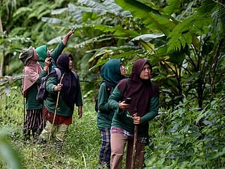 Look: Indonesia's female forest guardians fight for the environment