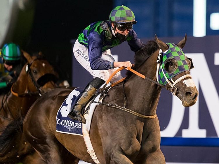 Thegreatcollection wins the Dubai Creek Mile under Pat Cosgrave. 