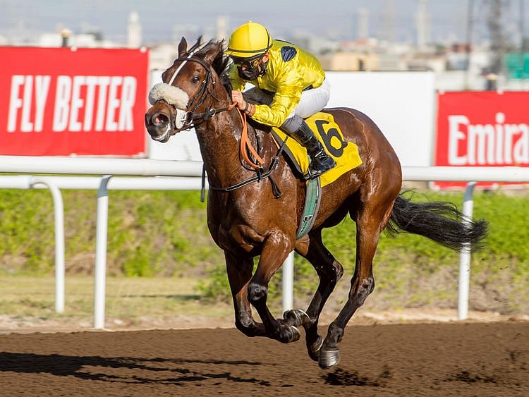 Horseracing - Fernando Jara