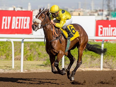 Fernando Jara, a former Dubai World Cup-winning jockey, rode Dark Silver to win the Emirates Airline Stakes Conditions event in a canter at the Jebel Ali Racecourse on Friday.