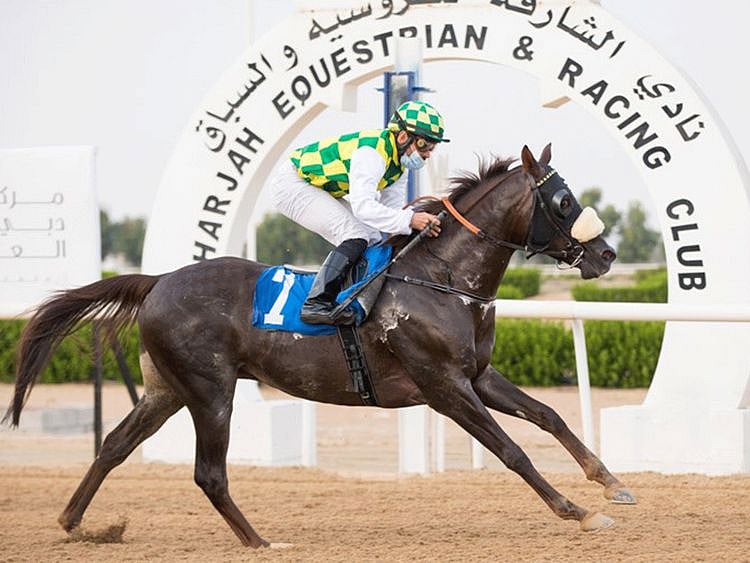 Horseracing - Fernando Jara