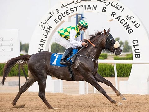 Fernando Jara, wearing the green-and-yellow checked silks of Sheikh Mansoor, on way to landing the Crown Prince of Sharjah Cup today.