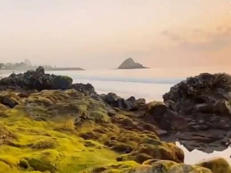 A screengrab from the video
