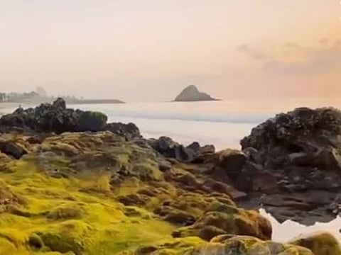 A screengrab from the video