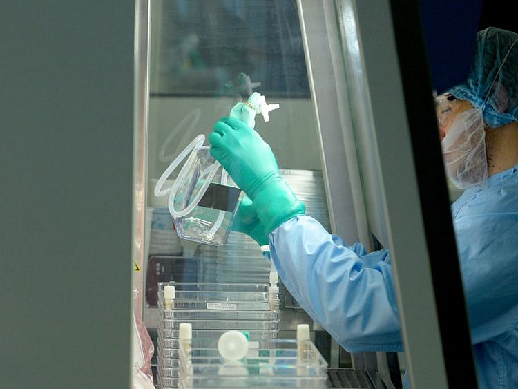 opn cell therapy-1577612937147