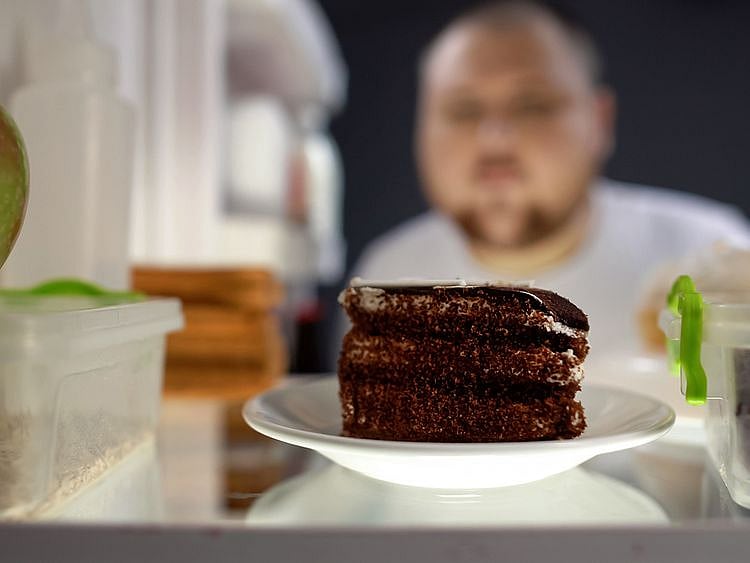 Dubai Health Authority Food Addiction