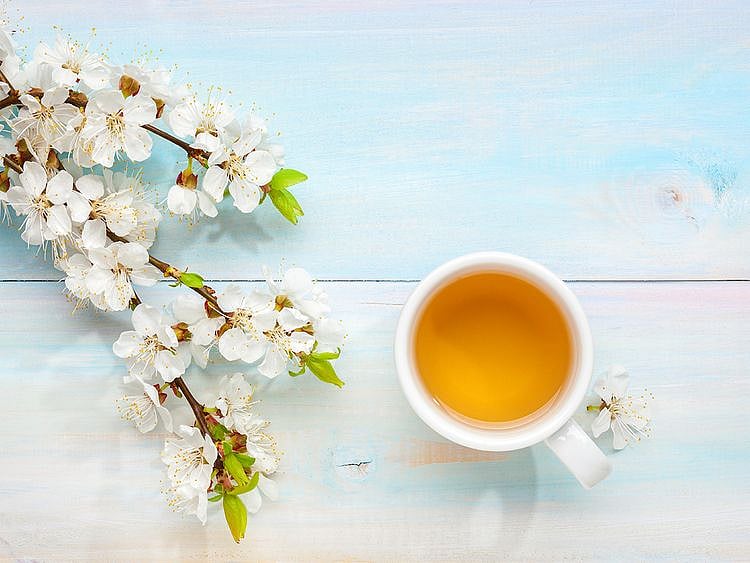 Dubai Health Authority detox lead