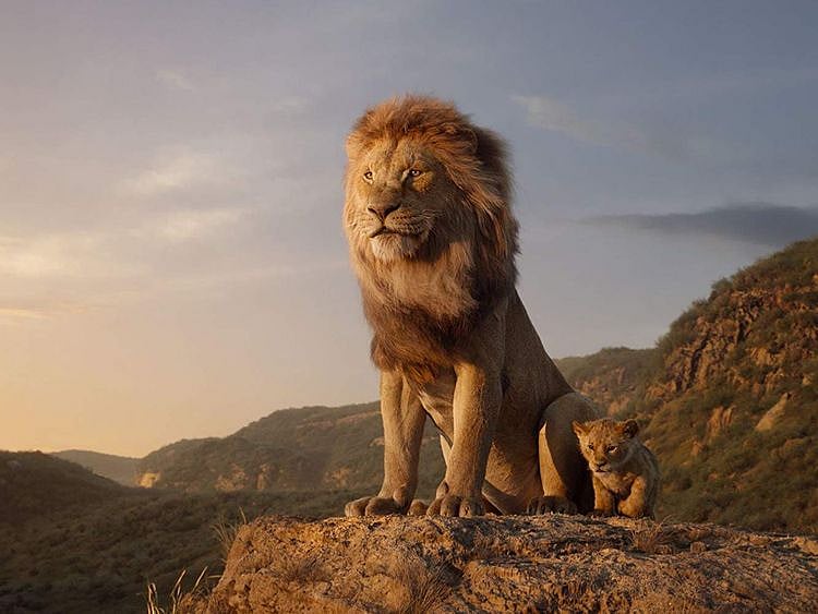 The Lion King-1577778324515