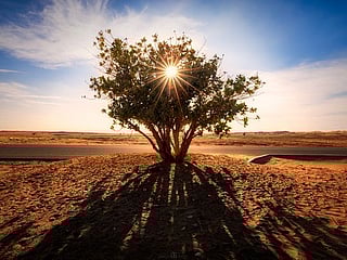 Photos: Gulf News readers share pictures of the beautiful deserts in the UAE