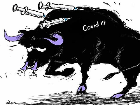Covid vaccine 
