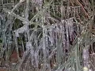 Watch: Video of icicles in Abu Dhabi's Raknah area, lowest temperature in UAE recorded at -2°C