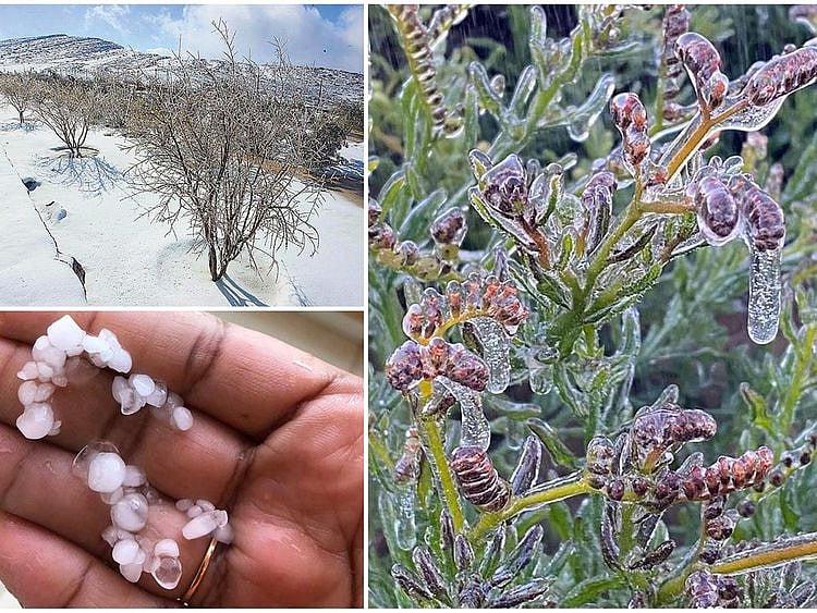 Winter in the UAE
