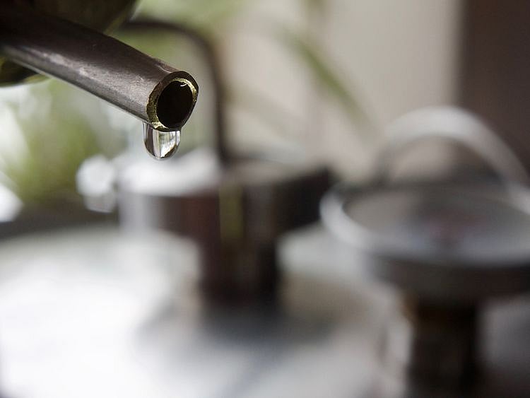 11 die after consuming spurious liquor in India