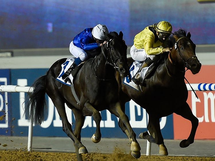 Horseracing-Rebel's Romance 