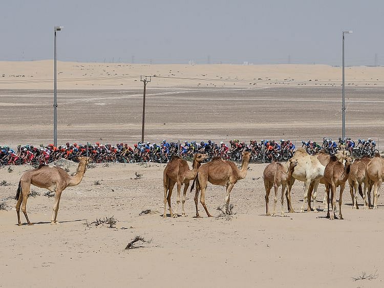 Cycling-UAE Tour