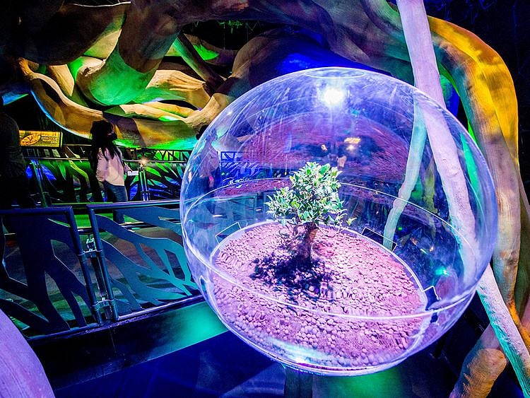 Expo 2020 gallery