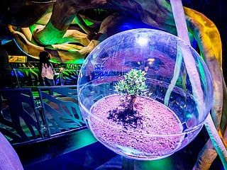 With Expo 2020 Dubai, UAE ready to welcome the world