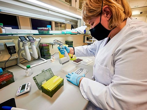 Scientists at deCODE genetics are seen working in the laboratorium in Reykjavik, Iceland. 
