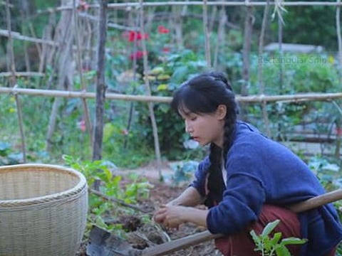 Legendary Chinese food vlogger shares pastoral cooking to incredible online success