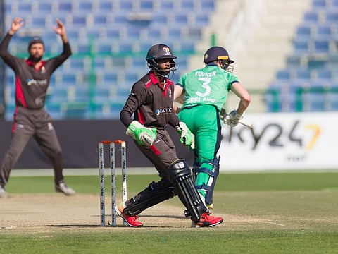 Ireland racked up 228 for the loss of six wickets in the final ODI against the UAE. 