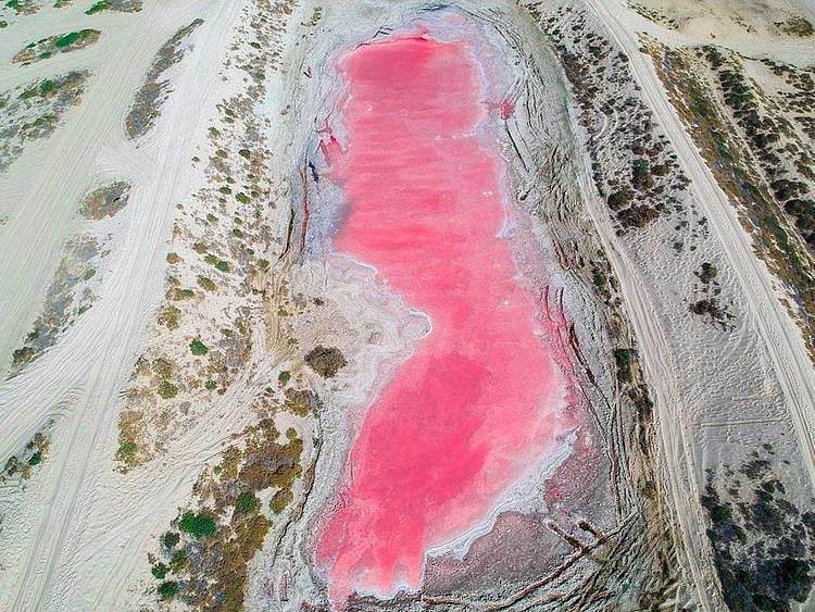 Pink lake in Ras Al Khaimah 
