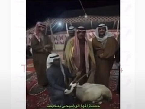 A screengrab from the deer feast video.