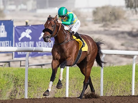 Secret Ambition, wining the 2019 Jebel Ali Mile, is a frontrunner to do it again on Friday.