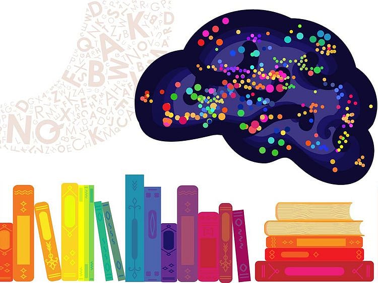 How being bilingual affects the brain 