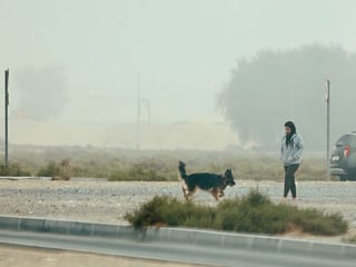 Dubai wakes up to fog, vanishing buildings