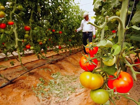 The best food comes from a local fruit and vegetable market, not a packet on a shelf
