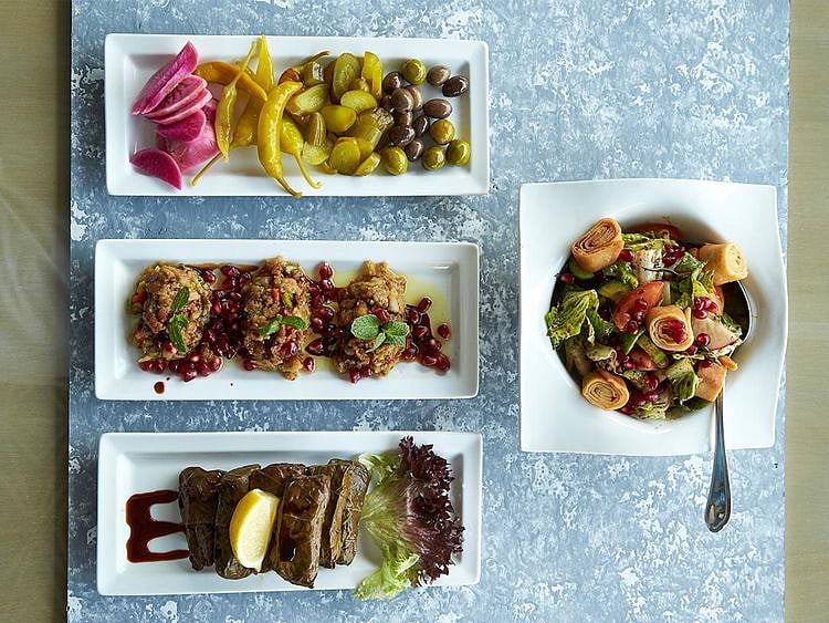 Syrian cuisine Aleppo food