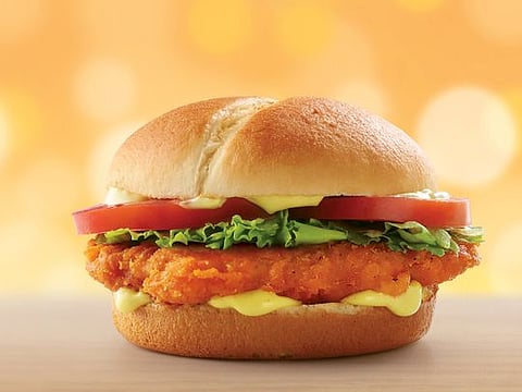 Spicy Chicken Burger from OPTP