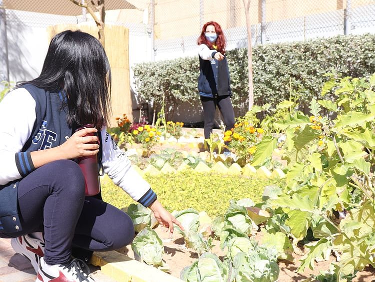 The farm teaches lifelong skills to students